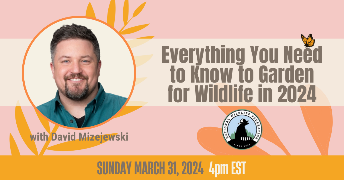 Everything You Need to Know for Garden for Wildlife in 2024 - David Mizejewski