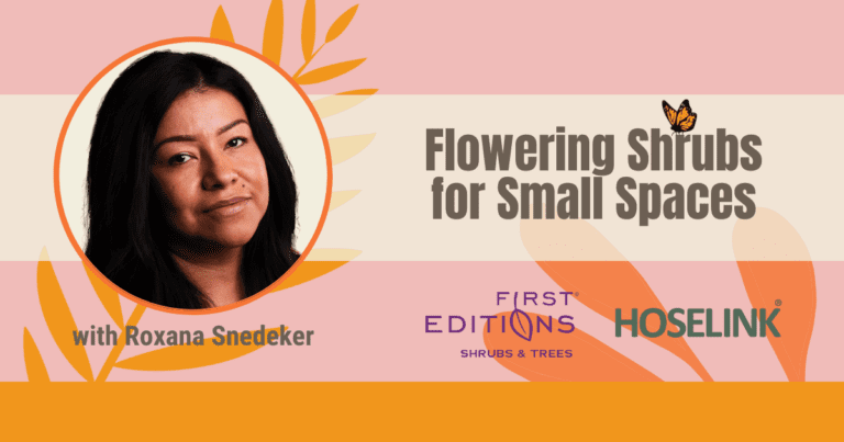 Flowering Shrubs for Small Spaces- Roxanda Snedeker