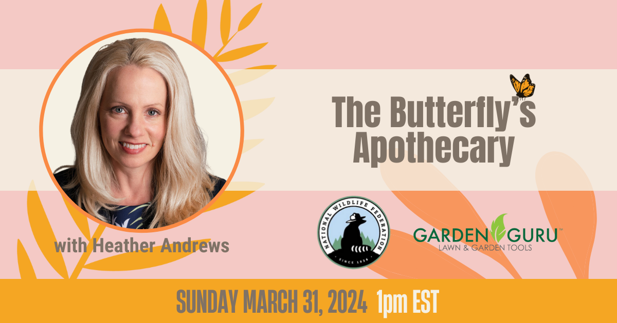 The Butterfly's Apothecary - Heather Andrews