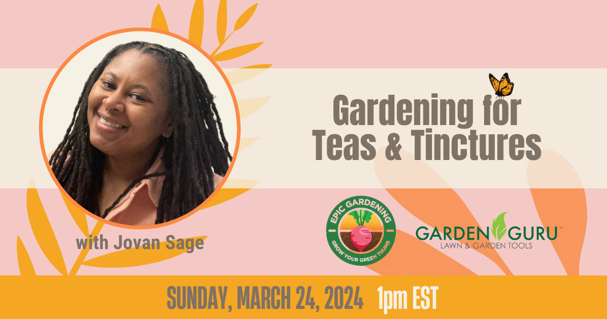 Gardening for Teas & Tinctures - Jovan Sage