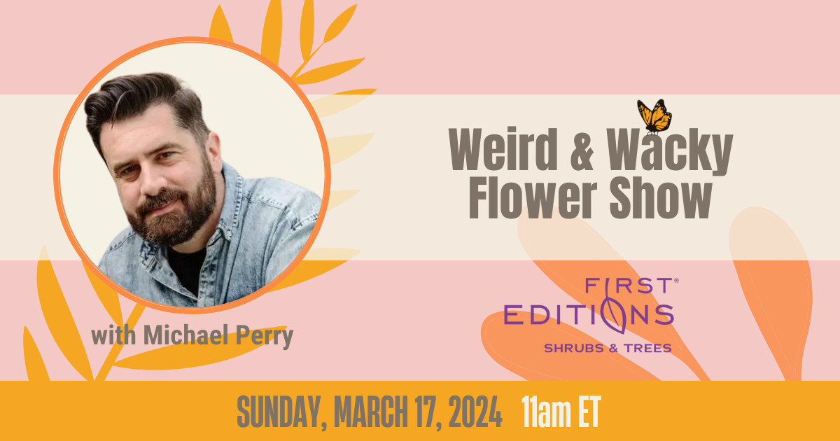 Weird & Wacky Flower Show - Michael Perry