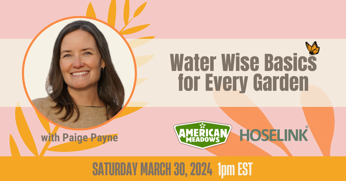 Water Wife Basics for Every Garden - Paige Payne